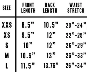 Bullet Pointe Skirt- Adult Sizing